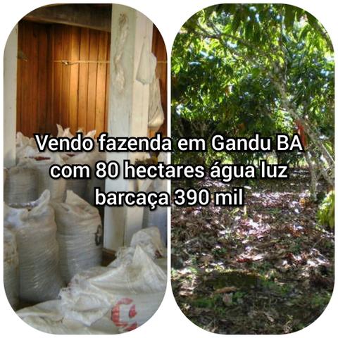 Vendo excelente fazenda em Gandu BA