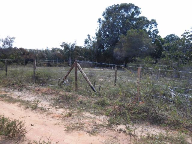 Terreno em Sitio Novo Subauma - Foto 5