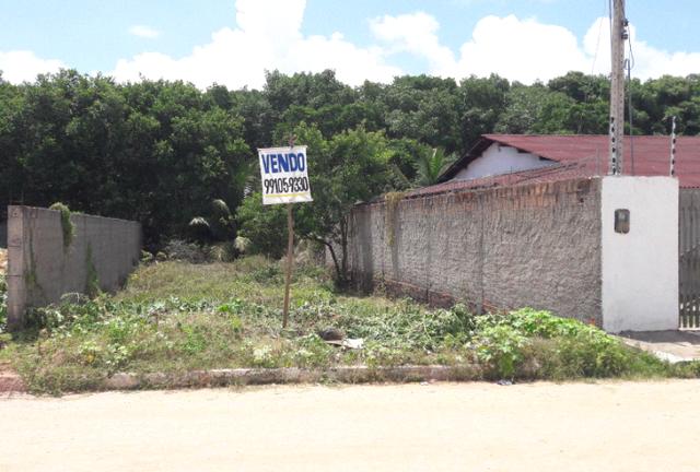 Litoral Norte - Barra de Santo Antônio - Ilha da Croa - Em Rua Pavimentada - Foto 4