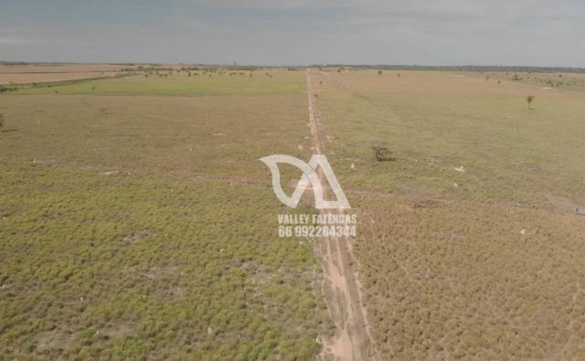 Fazenda à venda, 1134 hectares por R$ 24.000.000,00 - Novo Mundo/MT - Foto 7