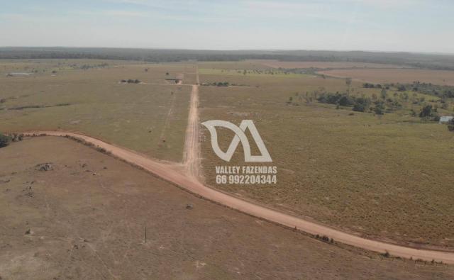 Fazenda à venda, 1134 hectares por R$ 24.000.000,00 - Novo Mundo/MT - Foto 2