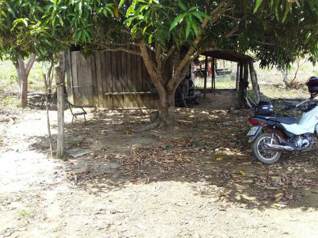 Venda - Foto 4
