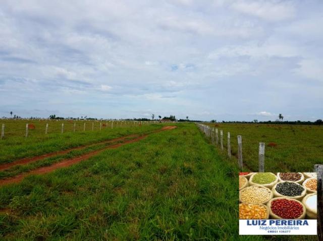 FAZENDA A VENDA DE 5.159 hECTARES EM BONITO - MS (Dupla aptidão) - Foto 6