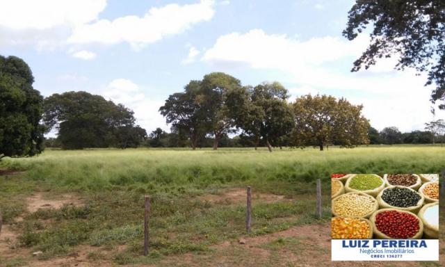 FAZENDA A VENDA DE 906 ALQUEIRÕES EM ARAGUAÇU - TO (Dupla Aptidão) - Foto 8