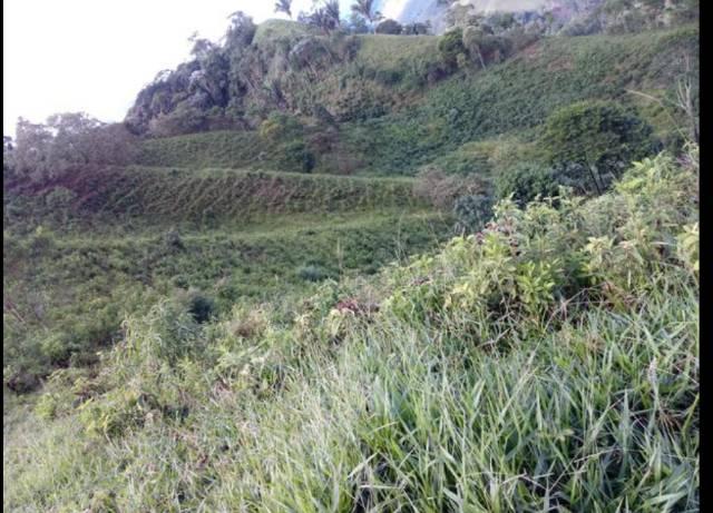 Vendo terreno de 4 alqueires em Ribeirão, Vargem Alta - Foto 10