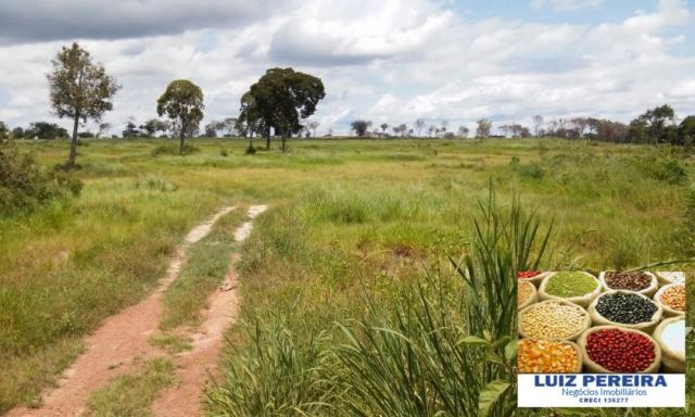 FAZENDA A VENDA DE 906 ALQUEIRÕES EM ARAGUAÇU - TO (Dupla Aptidão) - Foto 17