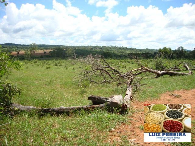 FAZENDA A VENDA de 100 HECTARES EM TERENOS - MS - (Pecuária) - Foto 19