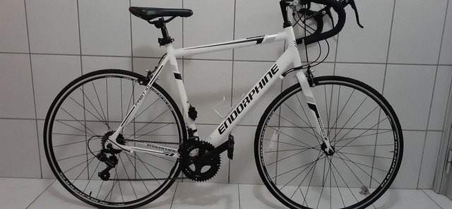 bike speed endorphine