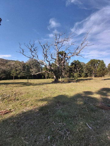 Condomínio rural na serra gaúcha - Foto 6