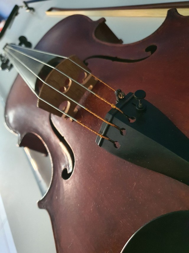 Viola clássica profissional - Foto 5