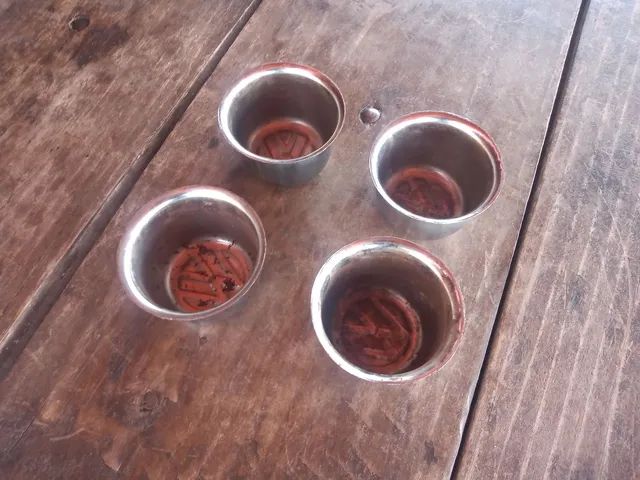  Calota Fusca TL Variant Brasília sp2  - Foto 4