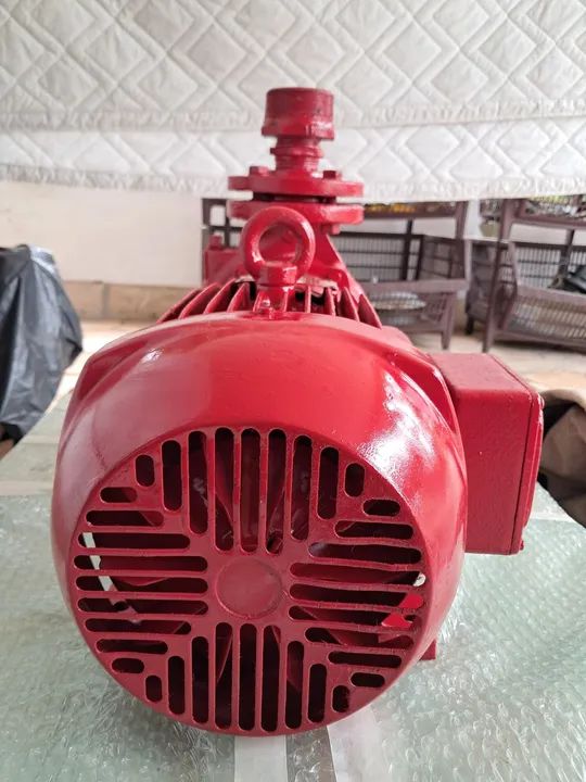 Motobomba Centrífuga Monobloco, Weg 7.5cv, 2 polos, Trifásico, 220/380/440v. - Foto 3