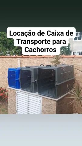 Locação de Caixa de Transporte para Cachorros (viagem Rodoviária)