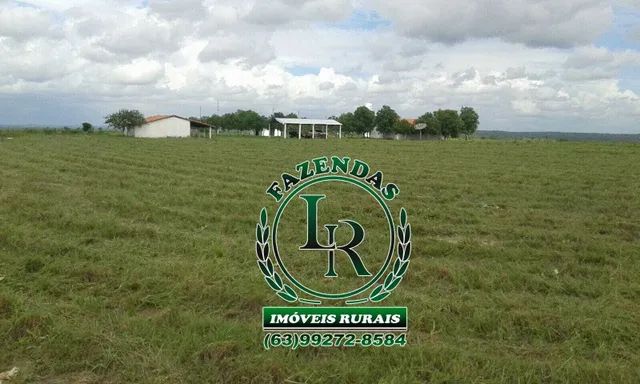 Fazenda 311 Alqueires Pedro Afonso - Foto 5