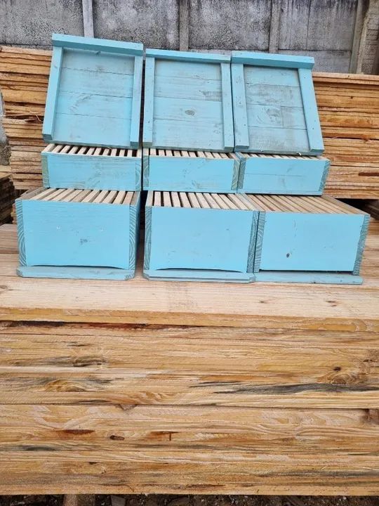   Caixa com sobrecaixa para abelha - Foto 2