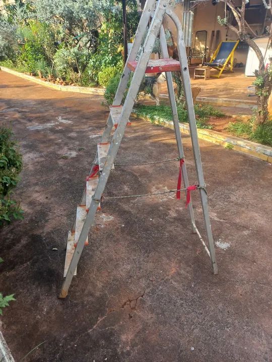 Vende escada de alumínio 6  degrau  - Foto 2