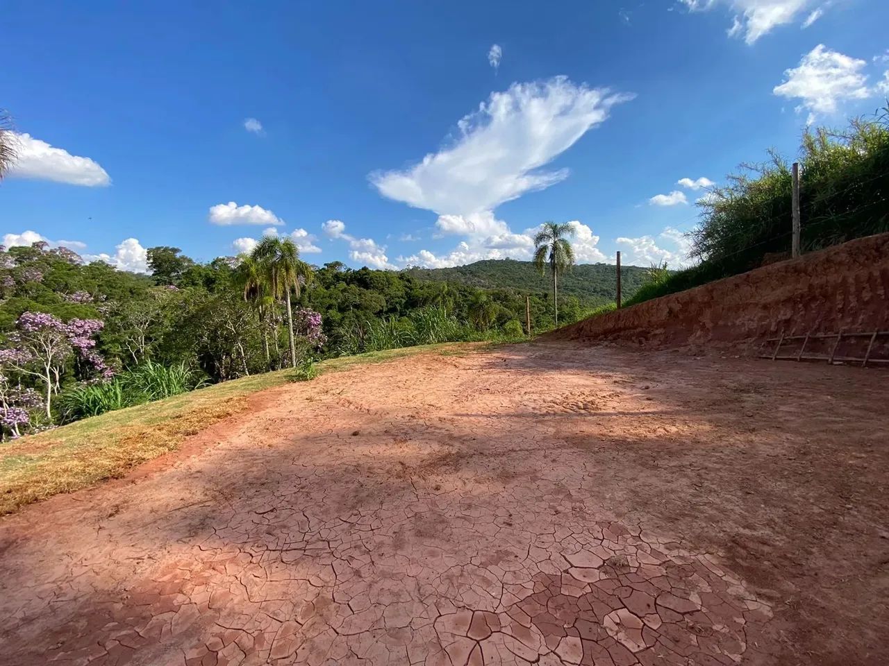 Terreno de 1000m² com terraplanagem