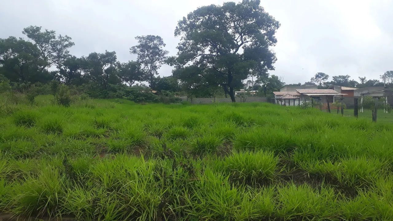 LOTES com 1000mts, topografia plana pronto para construir R$13.757,00 mais parcelas