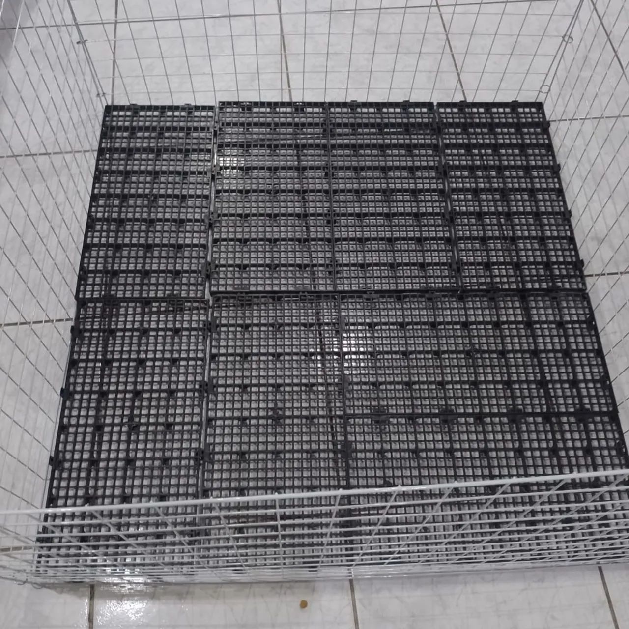 Pallets Plásticos Novos para Piso de Canil