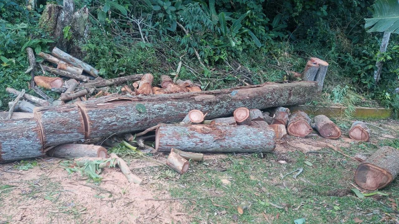 Retirada de entulho madeira moveis usados - Foto 3