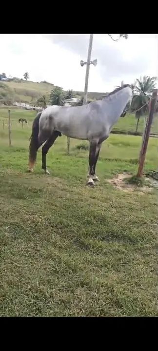 Vendo ou troco   - Foto 3