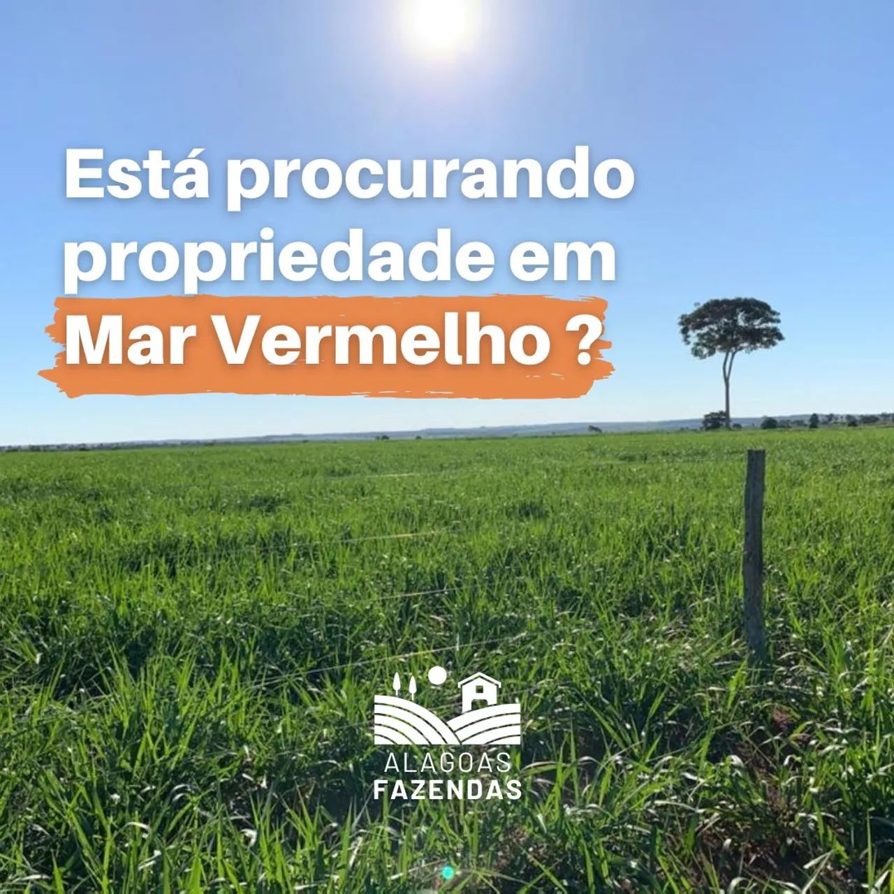 As Melhores Áreas em Mar Vermelho - Alagoas