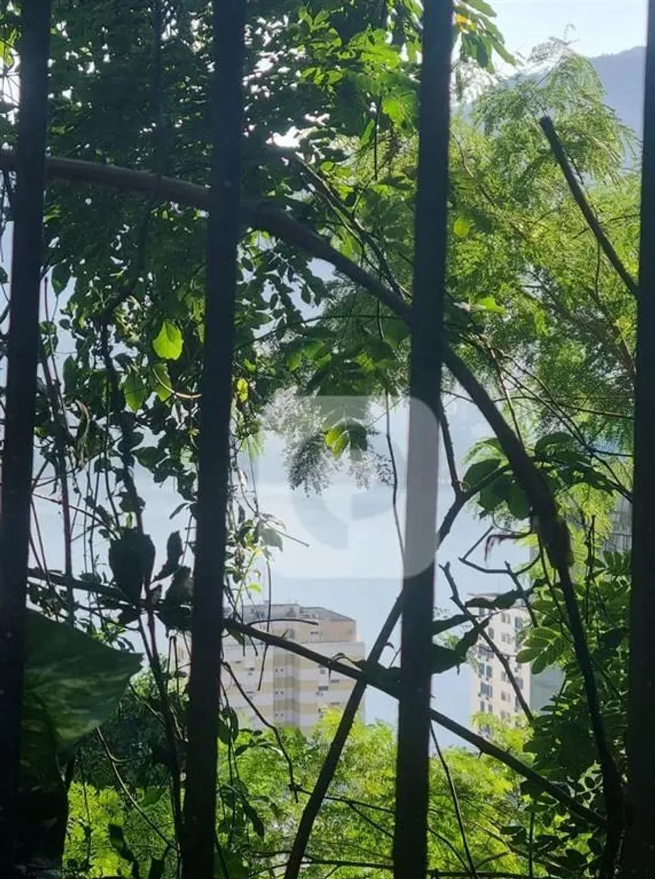 Lagoa Terreno 408 m2 á venda - Foto 2