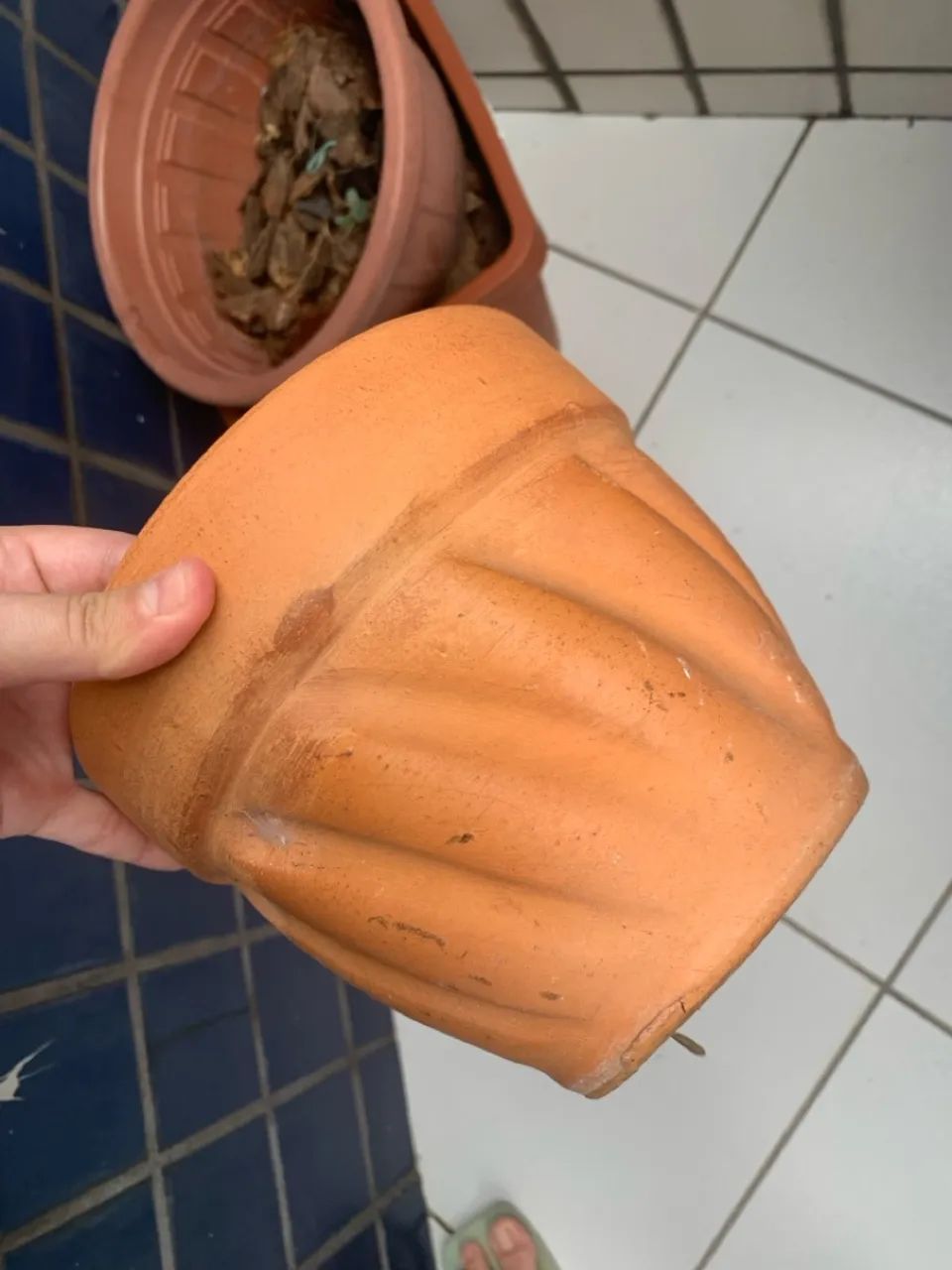 Vaso de plantas 