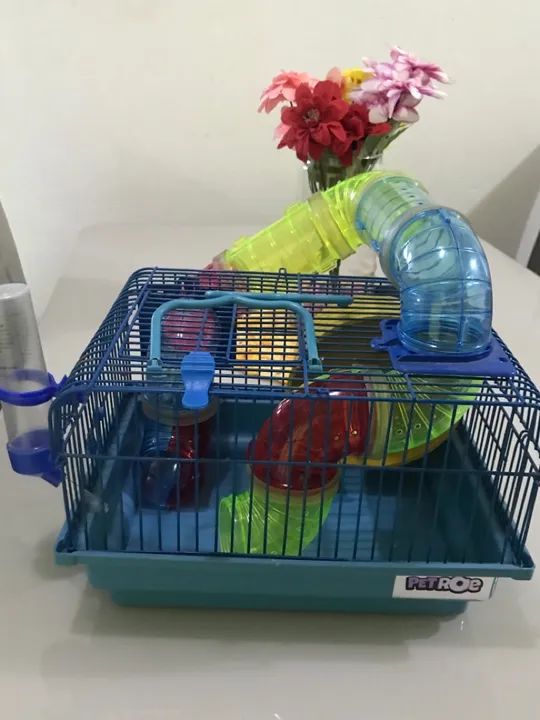 Casinha para hamster / roedor  - Foto 3