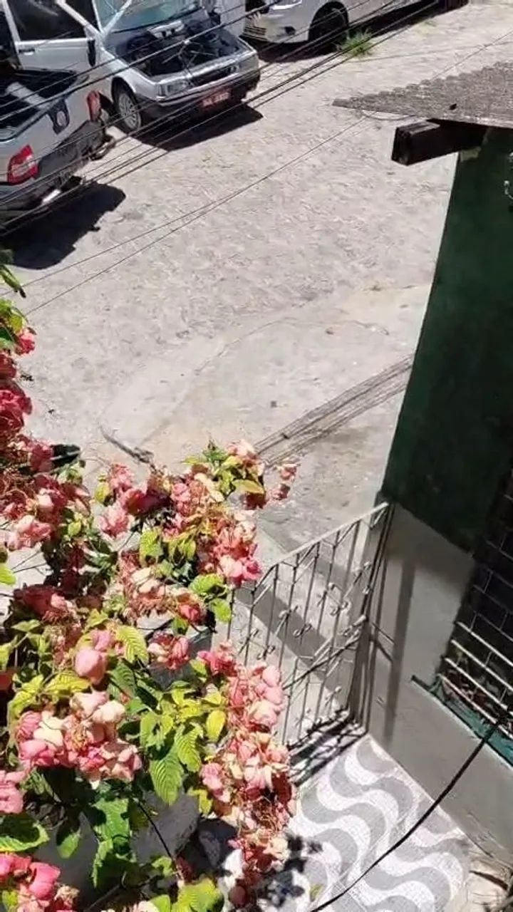 Foto - Maceió - Serraria