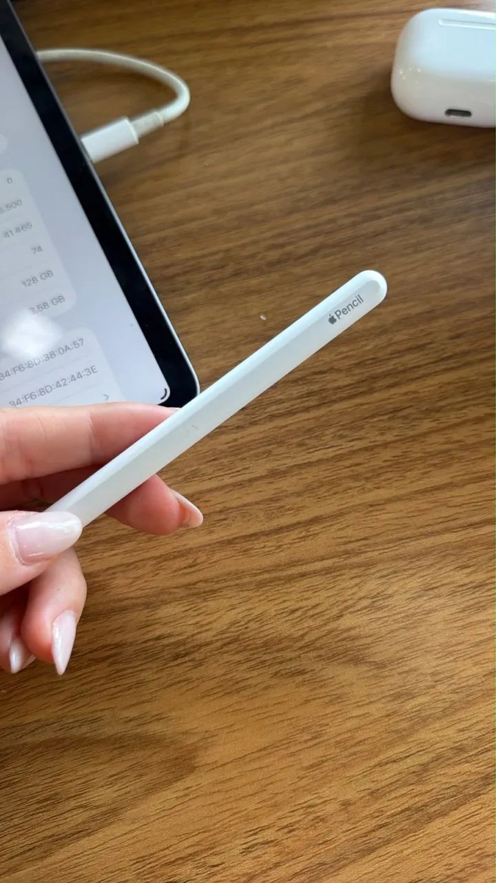 Apple Pencil 2ª geração