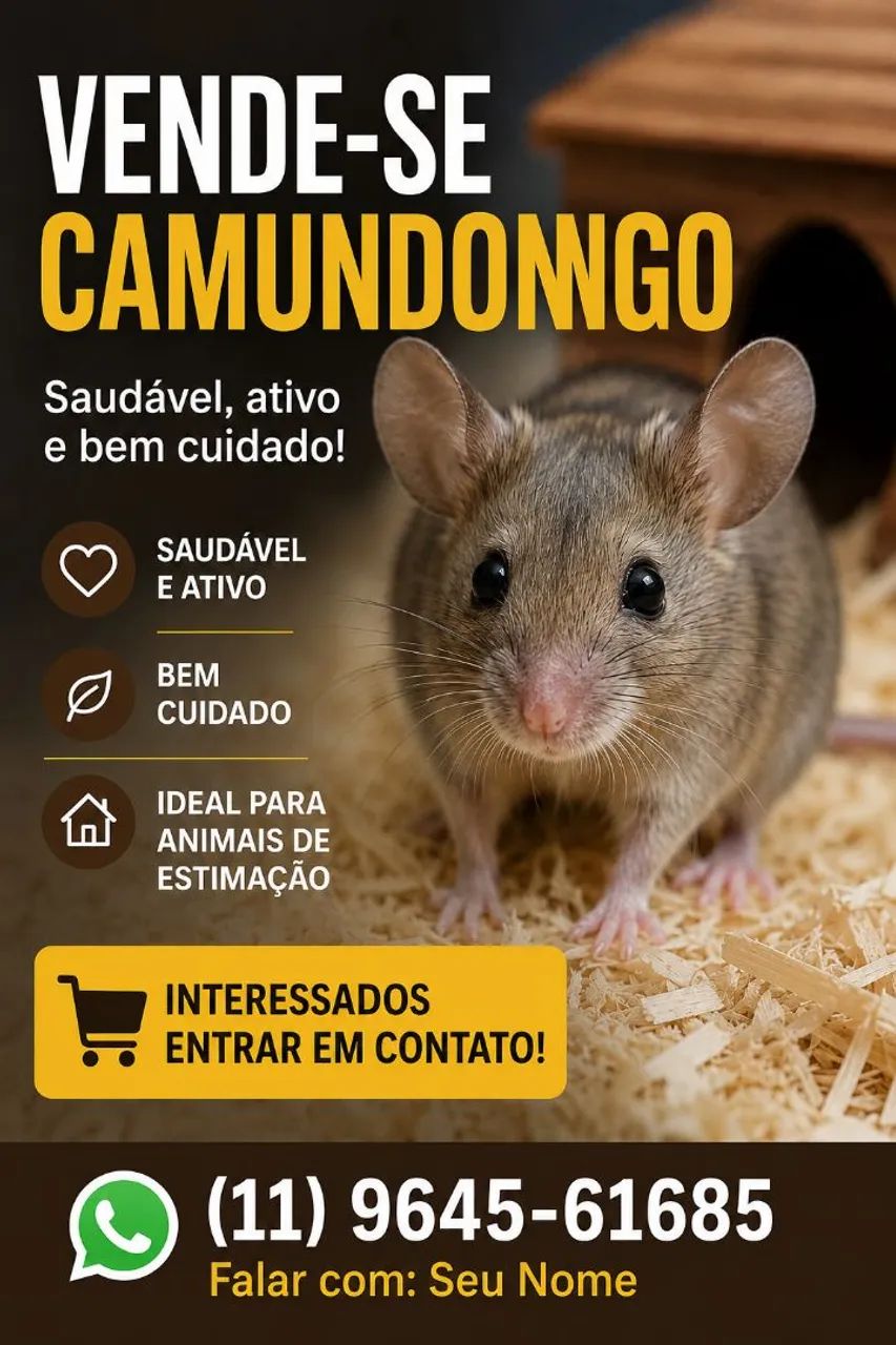Camundongos disponível 