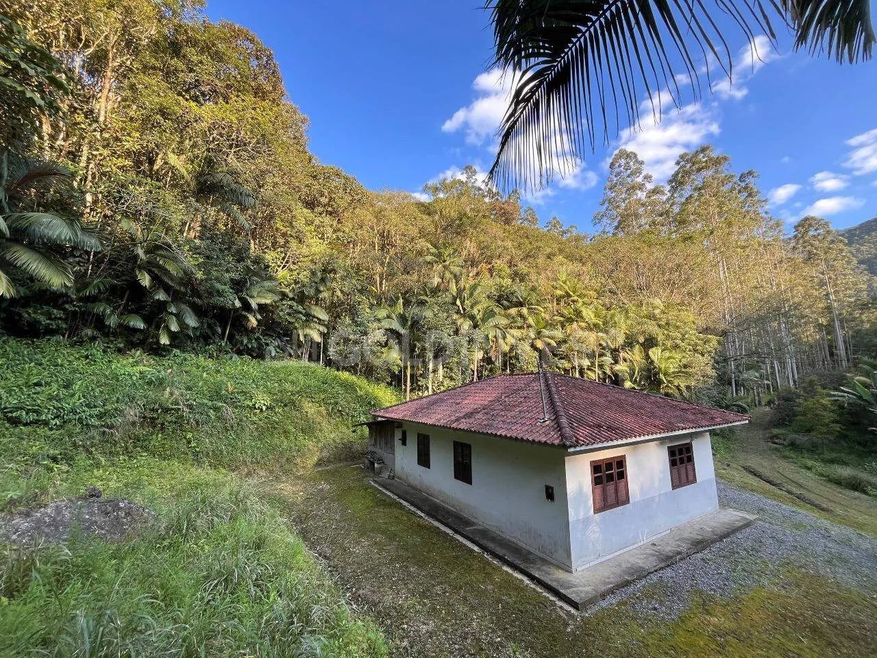 Sítio com 740.000m² no interior da cidade de Nova Trento!!! - Foto 2