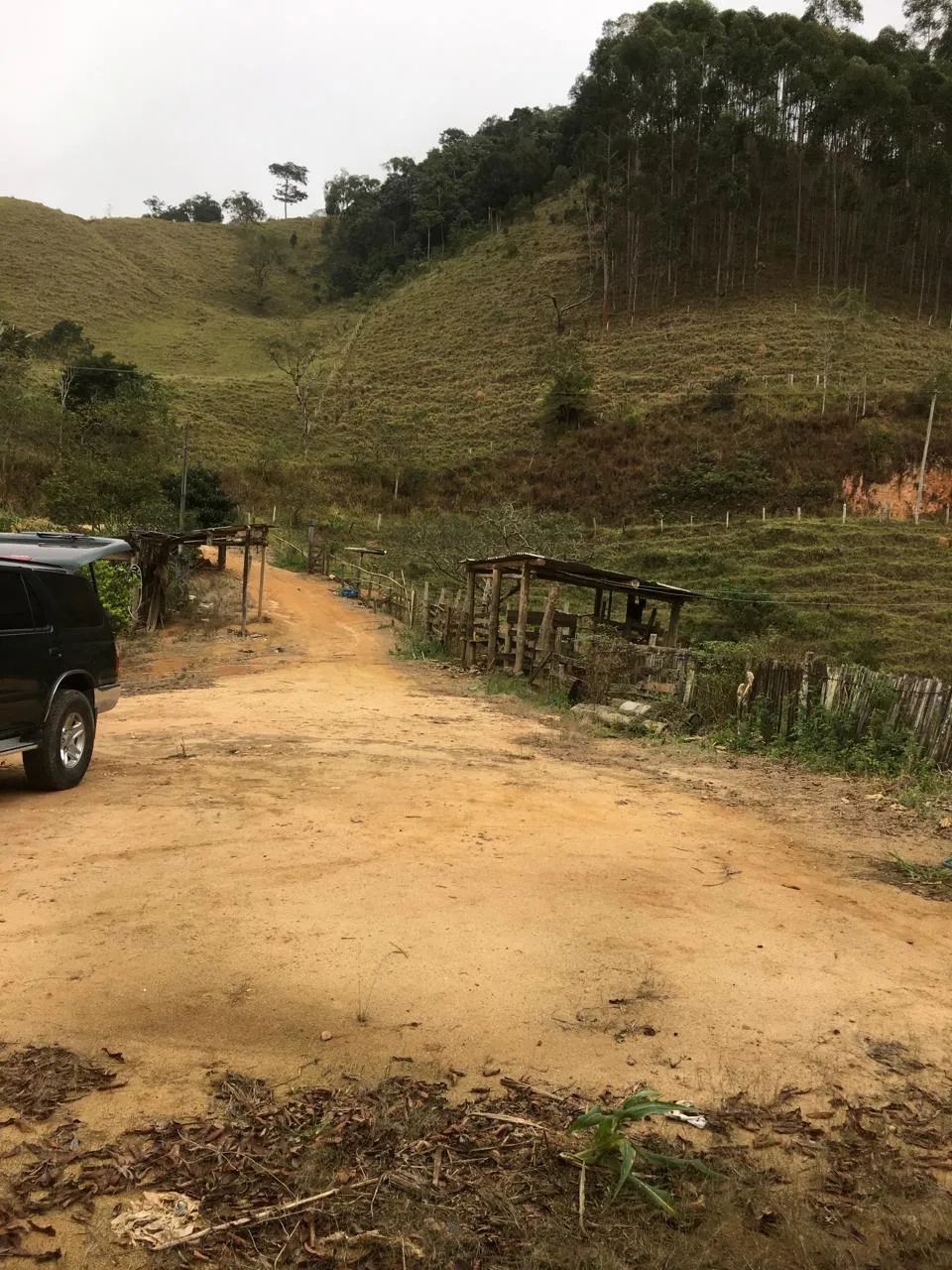 VENDO SITIO 3 ALQUEIRES EM NATIVIDADE DA SERRA ( 4291 ) - Foto 8