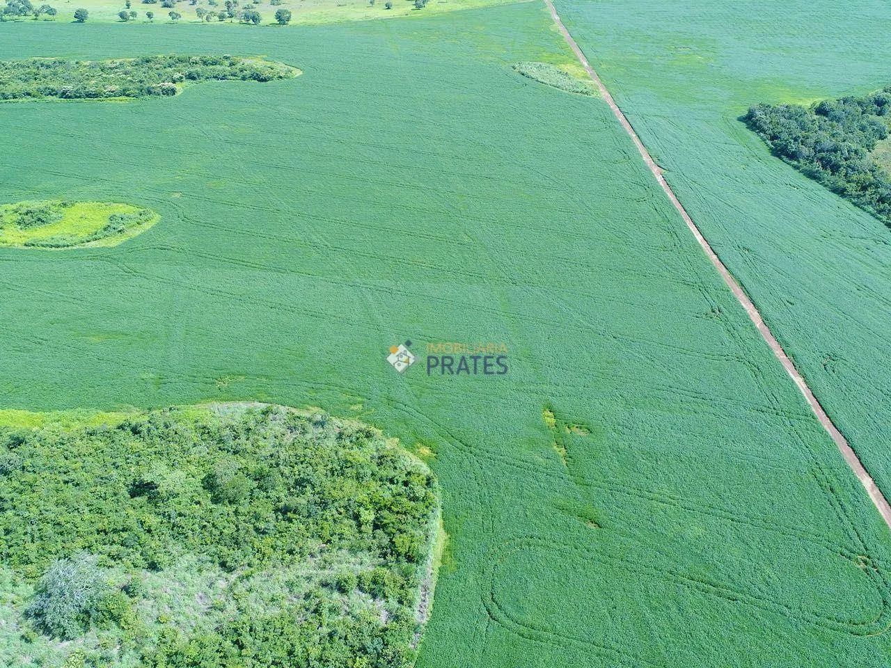 Fazenda Peixes/TO - Foto 4