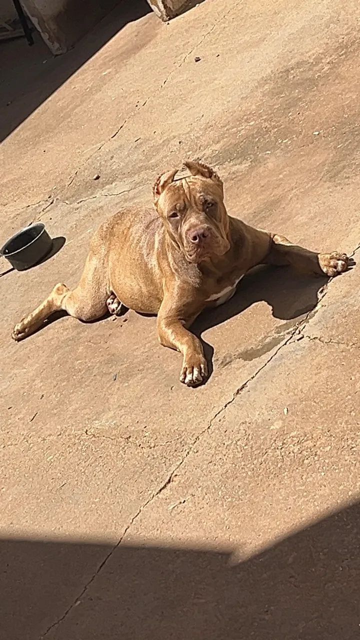 Pit monster *