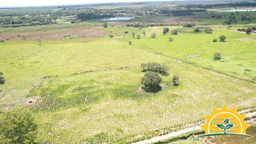 Fazenda 97 hectares - Foto 2
