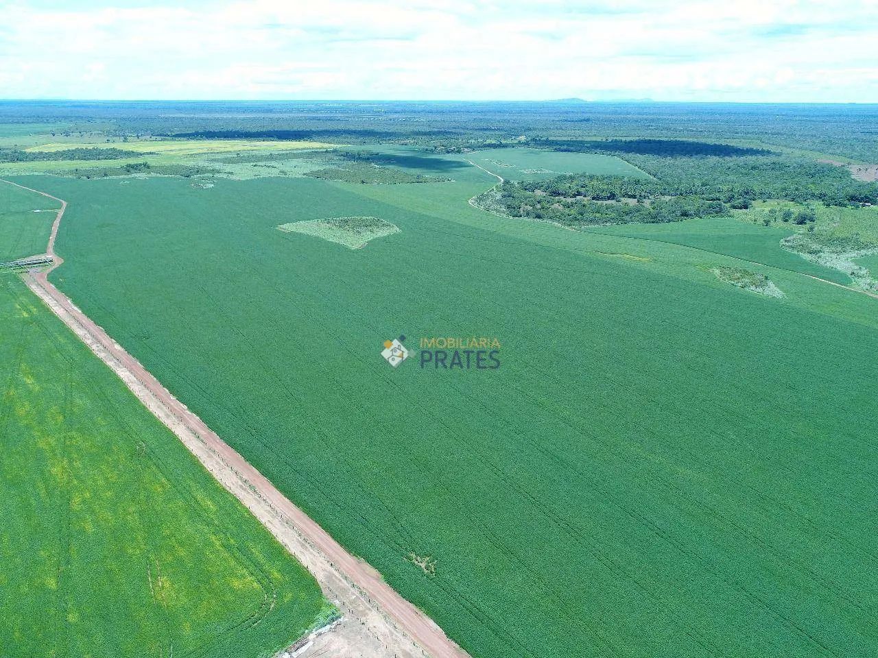 Fazenda Peixes/TO