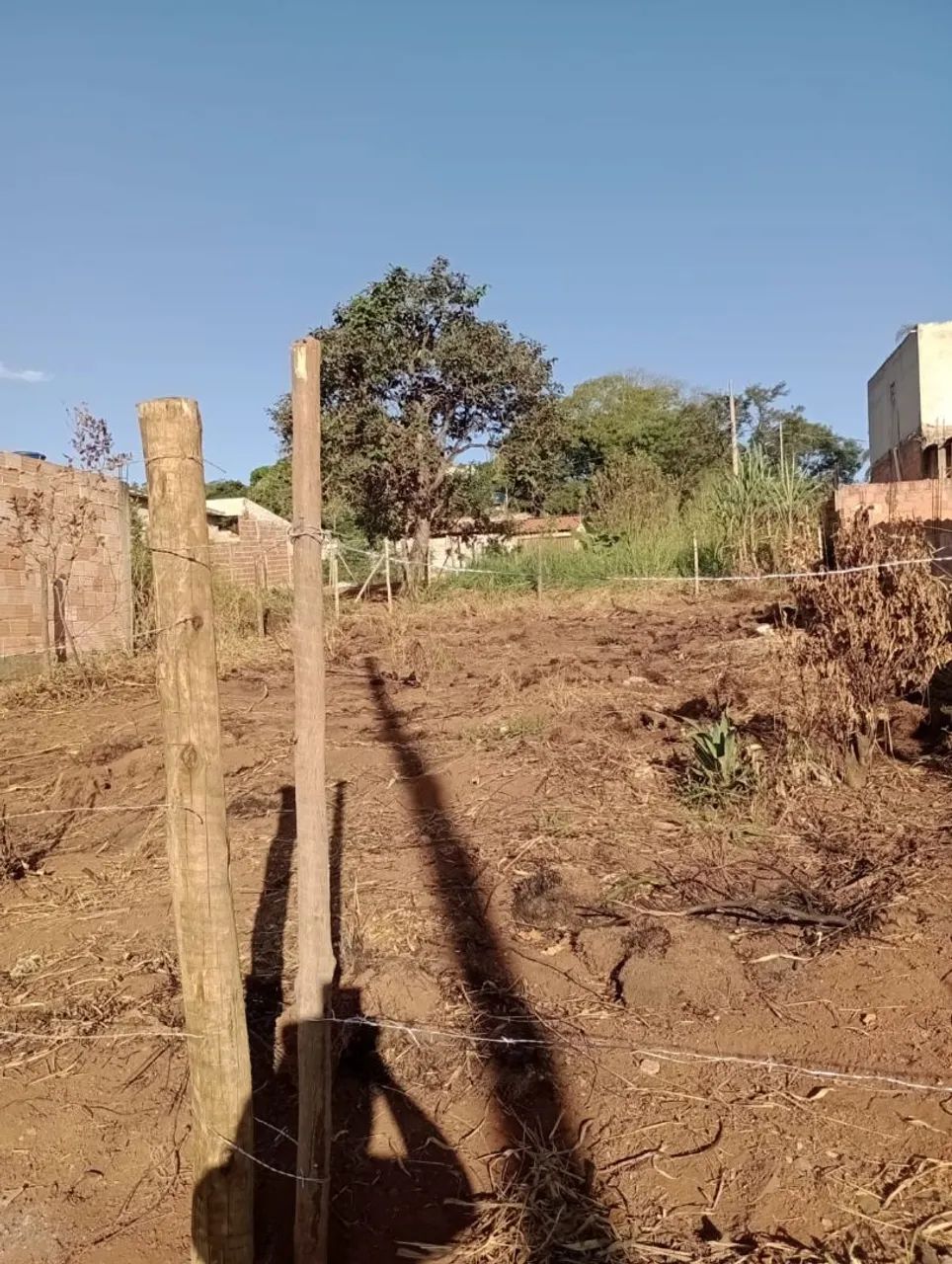 Lote - Mateus Leme 