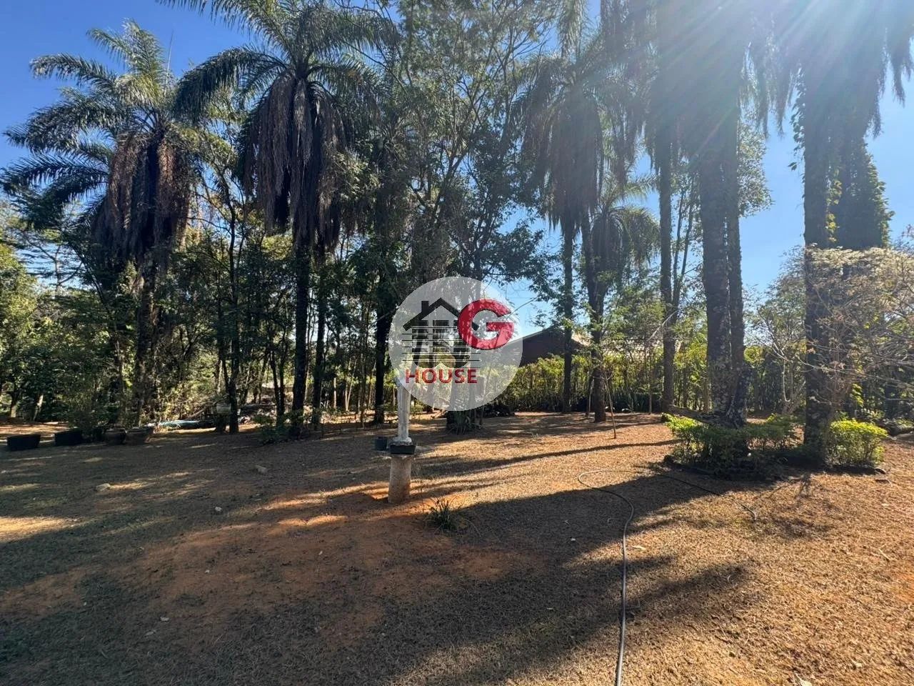 Sitio 5 quartos à venda Condomínio Quintas do Ipê - Foto 5