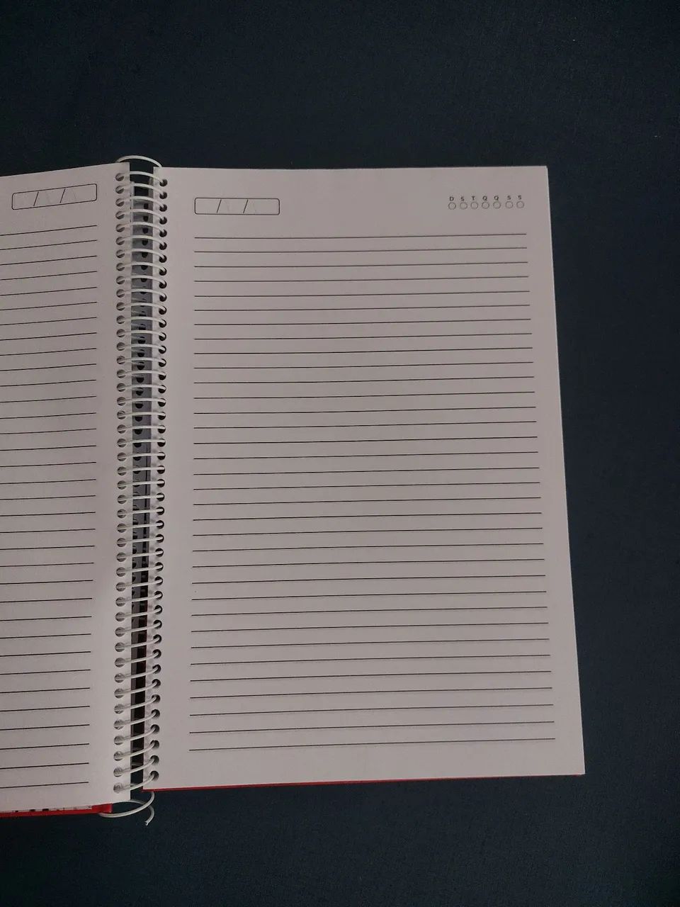 Caderno personalizado  Snoopy 445600329588418562