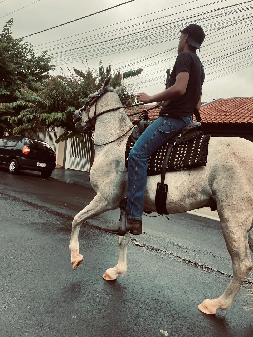 Vendo cavalo Quarto de milha 