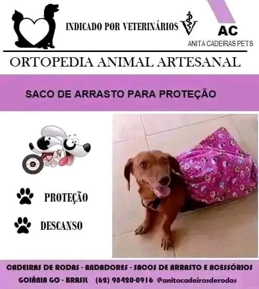 Cadeiras de rodas para cães e gatos  - Foto 3