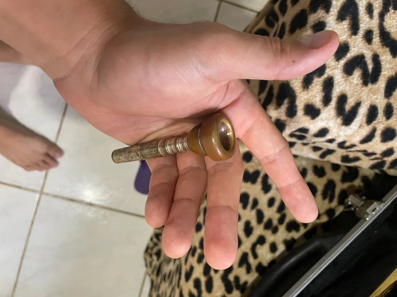 Trompete Dolphin em ótimo Estado+Case e Bocal | Preço Negociável! - Foto 3