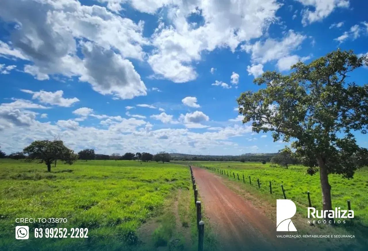 FAZENDA COMPLETA | ARGILA ACIMA DE 25% | PRONTA PARA PRODUZIR