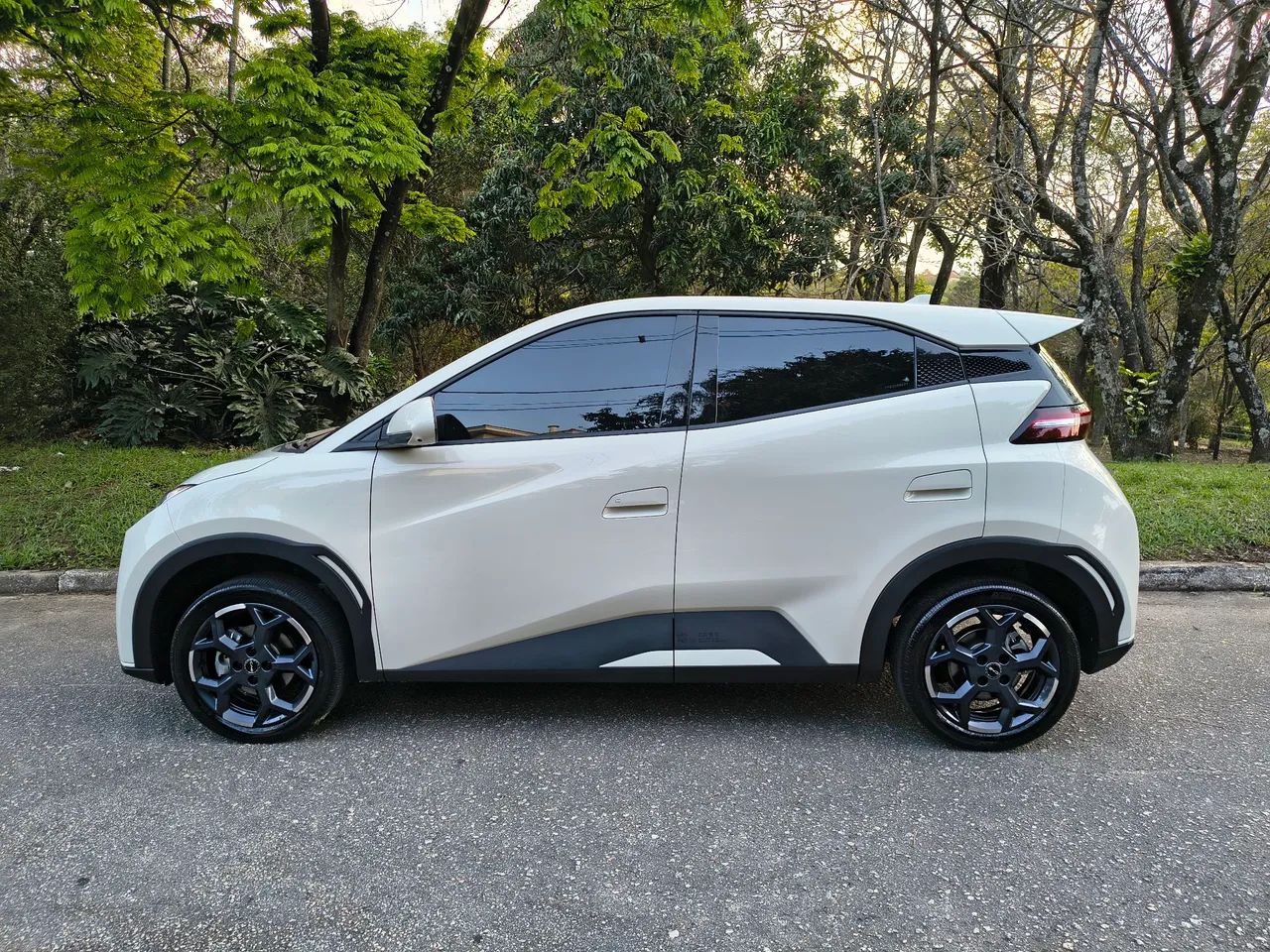 BYD Dolphin Mini (Elétrico) 2026 - Foto 3
