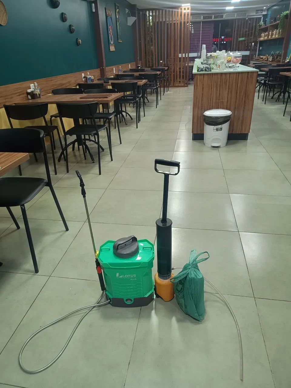 Dedetização e Desratização Profissional  - Foto 4