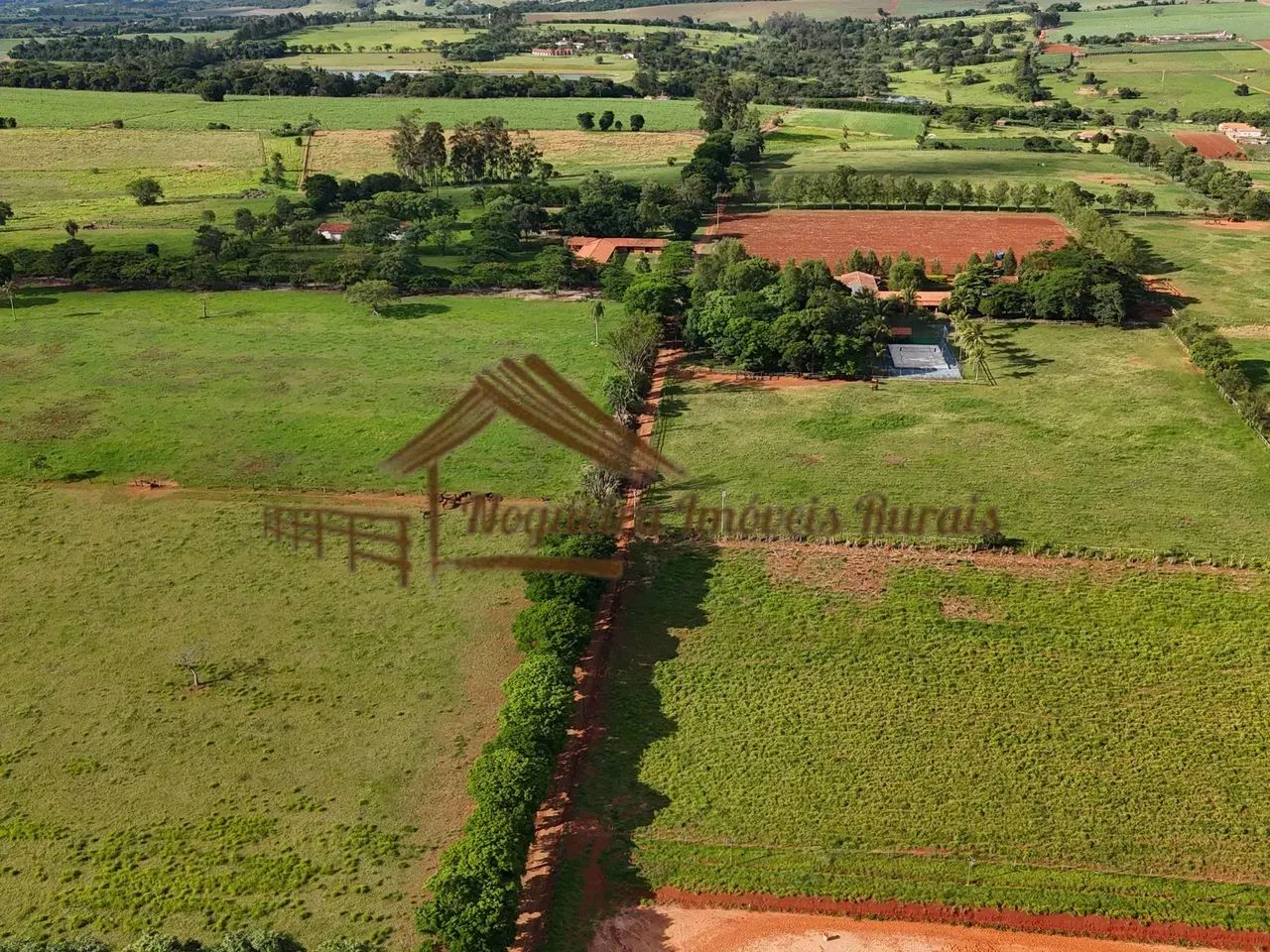 Haras na região de Cesário Lange-SP - Foto 5