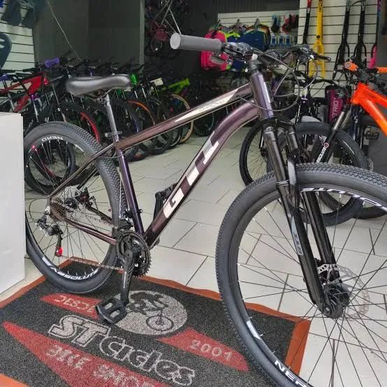 Bicicleta aro 29
