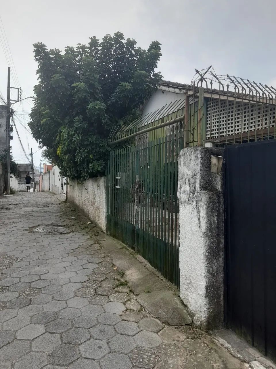 Casa jardim atlântico 